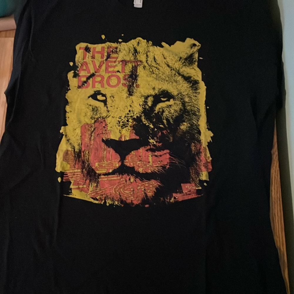 AMERICAN APPAREL The Avett Bros. 2009 Fall Tour T - Picture 2 of 4